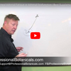 Adrenal Fatigue or Adrenal Dysfunction