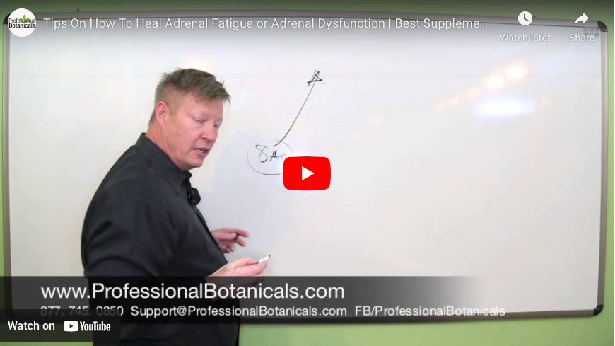 Adrenal Fatigue or Adrenal Dysfunction