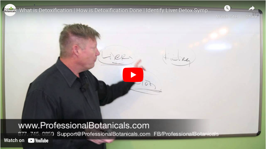 What is Detoxification