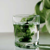 To Detox or Not?